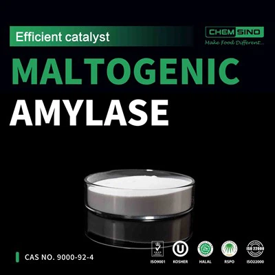 De la obișnuit la extraordinar: amilaza maltogenă face să se întâmple.CAS NR. 9000-92-4