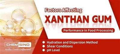 Factori care afectează performanța gumei de xantan în procesarea alimentelor